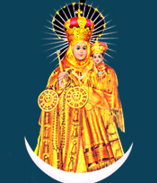 Velankanni Matha Shrine, Chellanam