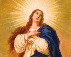 FRANCISCAN IMMACULATINE SISTERS